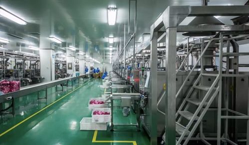 數(shù)字化定制工廠 從服裝到食品的產(chǎn)業(yè)創(chuàng)新