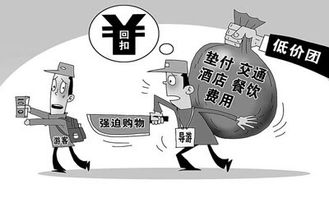 探索IT數(shù)碼新前沿，人工智能實(shí)驗(yàn)室引領(lǐng)科技資訊潮流