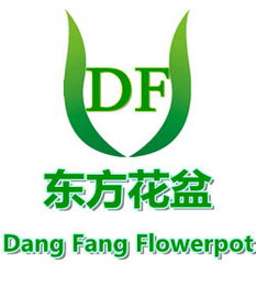 義烏市東紅塑料制品廠——從源頭到遠方 品質與服務的雙軌同行