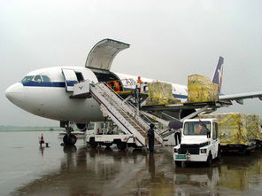 深圳至伊朗空運全指南 時效、費用、航班查詢與代理服務詳解